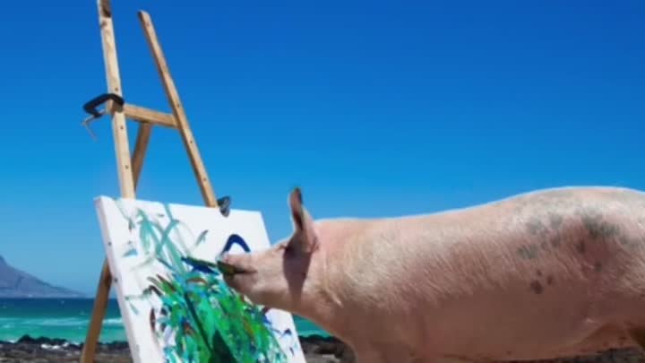 Эта свинья любит рисовать 🐷🎨