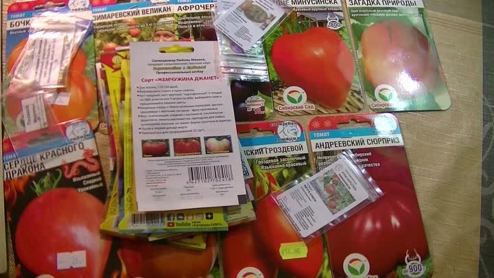 Как выбрать сорта и где купить семена томатов