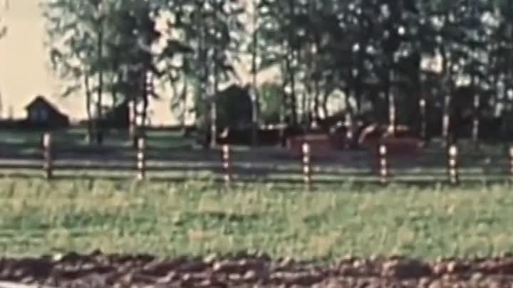 Советское детство в деревне