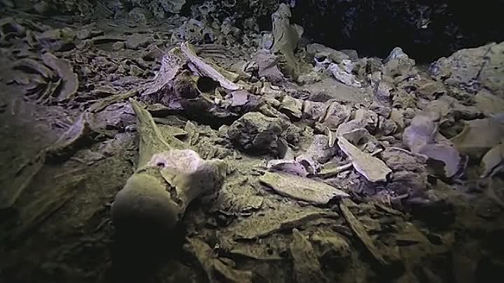 Подводные пещеры в Мексике