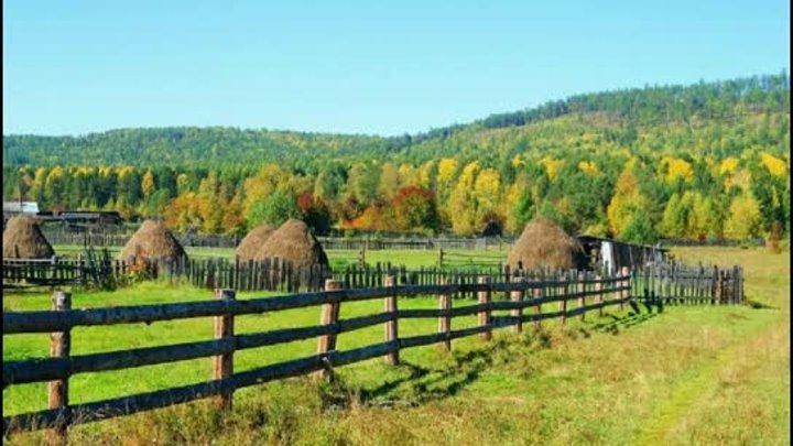 Над Россией гуси лебеди  летят   в. гр. Кубанушка  г. Апшеронск