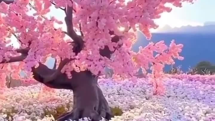 nature88885_1646644172146.mp4