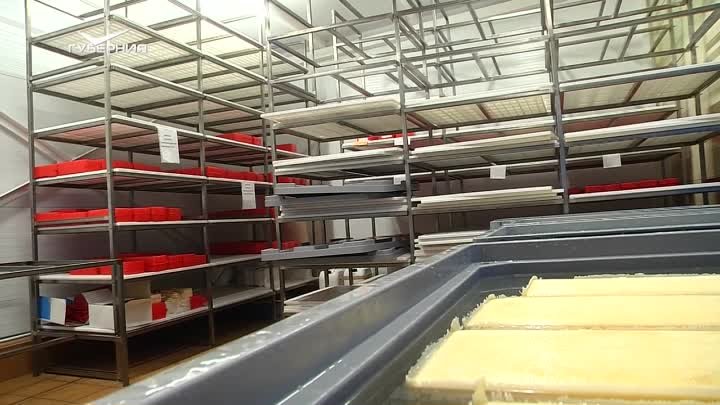 В Кошкинском районе открыли цех по изготовлению сыров