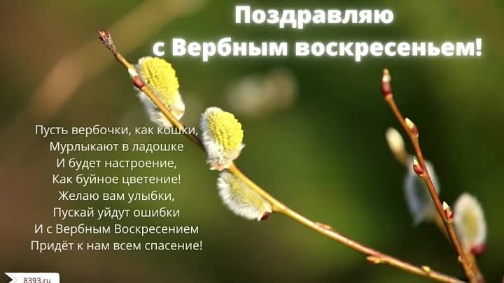 втдео открытка вербное воскресенье 8393.ru (3)