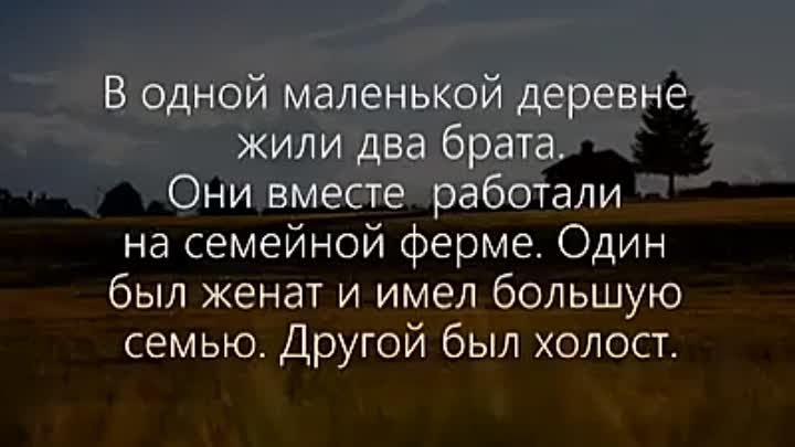 Посмотрите