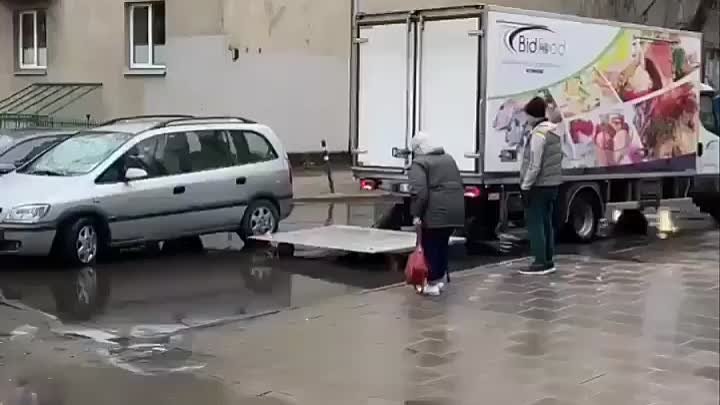 Самое красивое видео, которое вы увидите сегодня