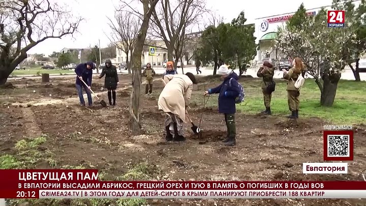 Высадка в евпатории. Массовая высадка деревьев много. Деревья в Евпатории. Беженцы в Евпатории.