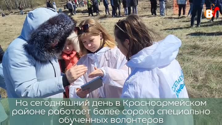 Голосование с помощью волонтеров.mp4