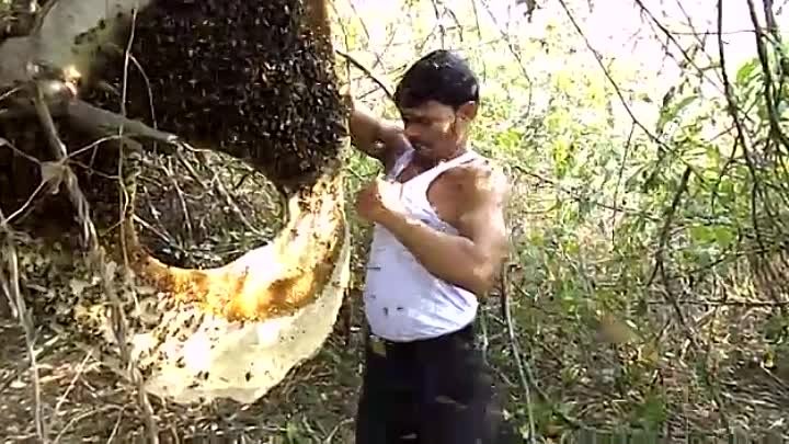 Есть и крутые пчеловоды 