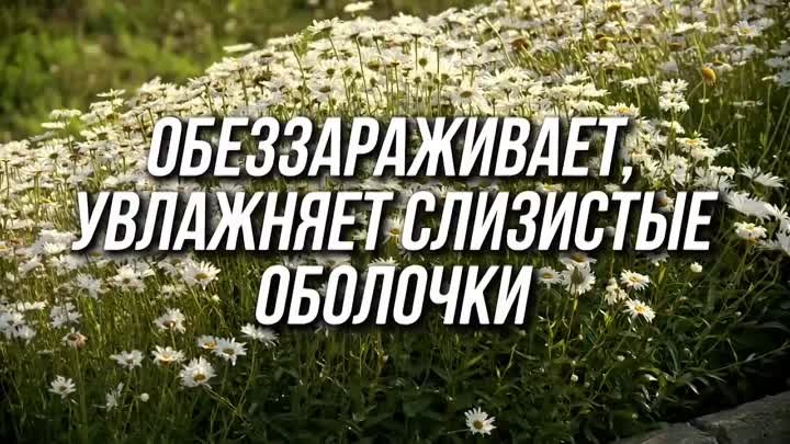 Как Избавиться ОТ КАШЛЯ за 1 день! Очистите Легкие и перестаньте Каш ...