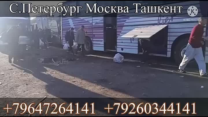 МОСКВА САНКТ-ПЕТЕРБУРГ ТАШКЕНТ АВТОБУС ТАКСИ