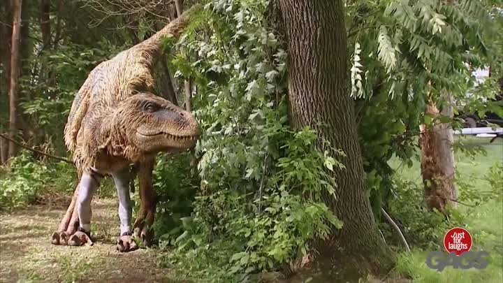 Тираннозавр Отпугивает Их! | Скрытая камера зарубежное)))