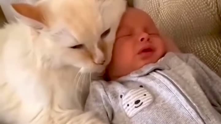 Котозасыпатор - лучший помощник мамочки