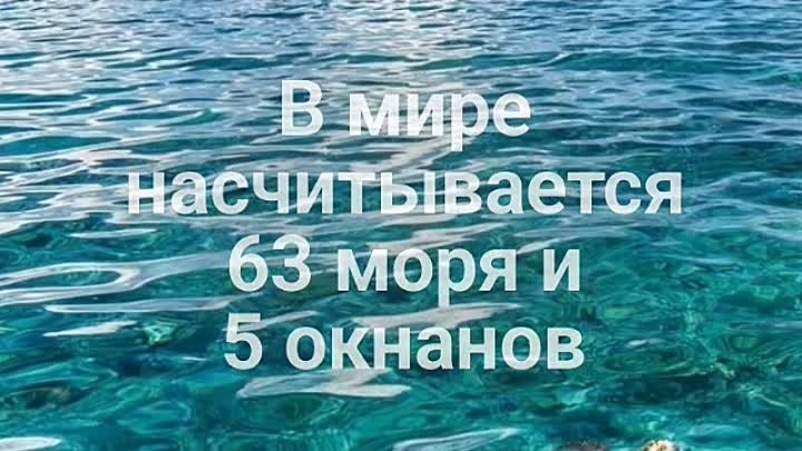 Рубрика "Хочу всё знать"  Водное царство🌊🌊🌊 #ДедиловскийСДК