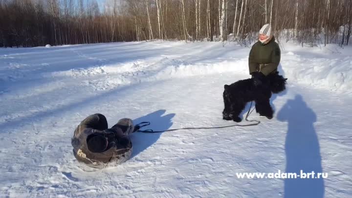 Зимняя тренировка РЧТ защиты * Winter BRT Protection Training