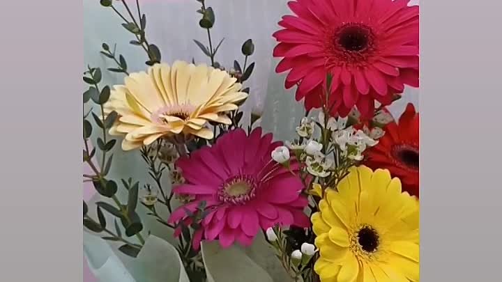 https://verona-omsk.ru/
Доставка цветов в Омске
Салон цветов "В ...