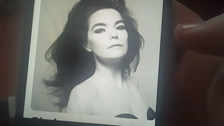 Björk - BW image