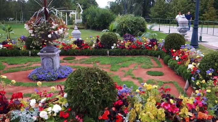 Фестиваль исторических садов в Царицыно, ландшафтный дизайн. Лебеди  ...