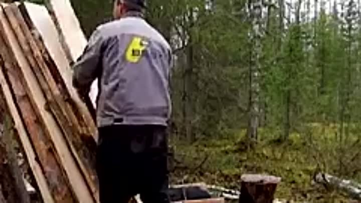 Друзья построили избу в лесу