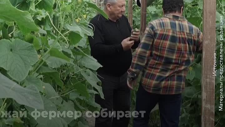 Новая продукция пищевых предприятий России