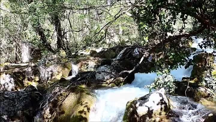 Родник Хаста-Баш  (Большая Ялта, г. Алупка, Крым) - 29.04.17