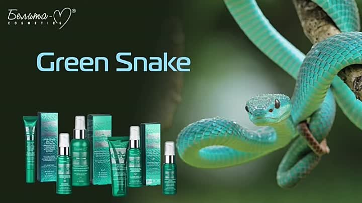 green-snake-video2