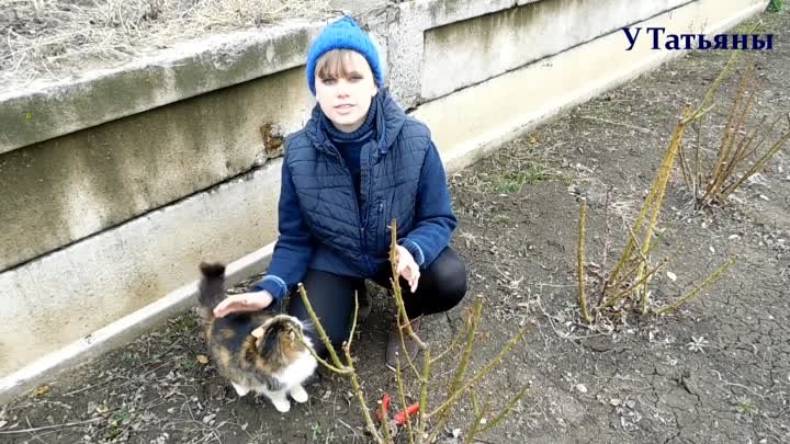 Весенняя обрезка роз. Как правильно обрезать и сформировать куст роз ...