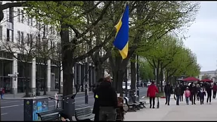 В Германии запретили публичное ношение украинского флага и символики