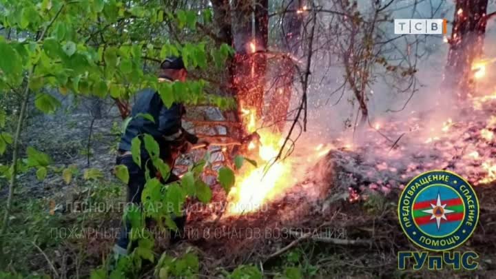 Лесной пожар в Вадатурково
