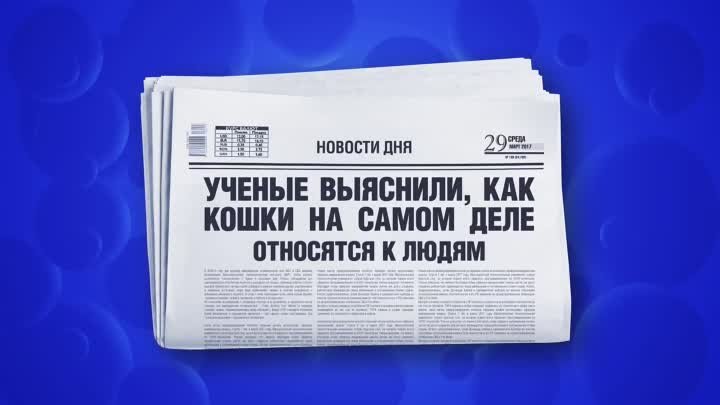 Инфосотки