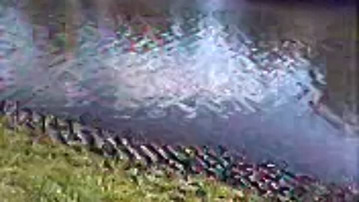 Черкизовский пруд 29 апреля 2017 Утки.. Я дума что тот холод - был х ...