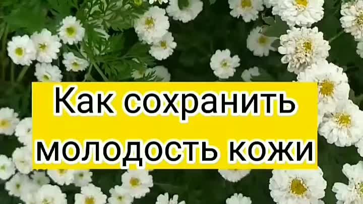 Для здоровых суставов