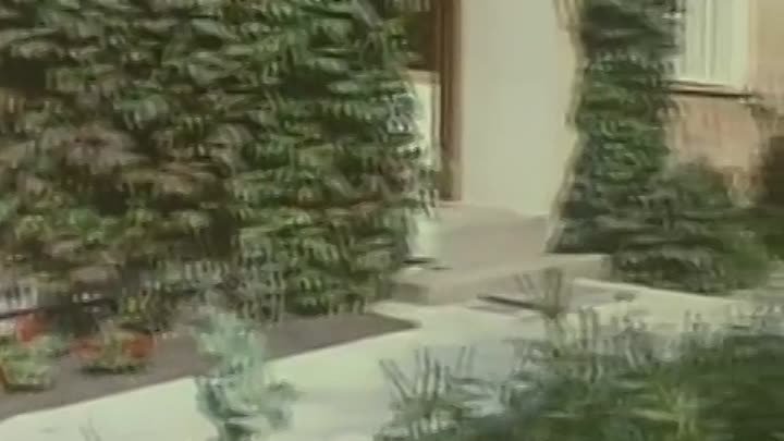 «Трест, который лопнул», 3-я серия, 1982