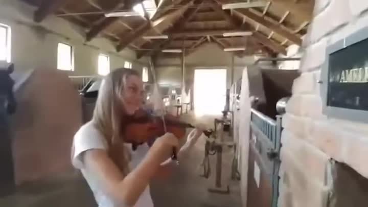 Прекрасная скрипка для лошадки❤