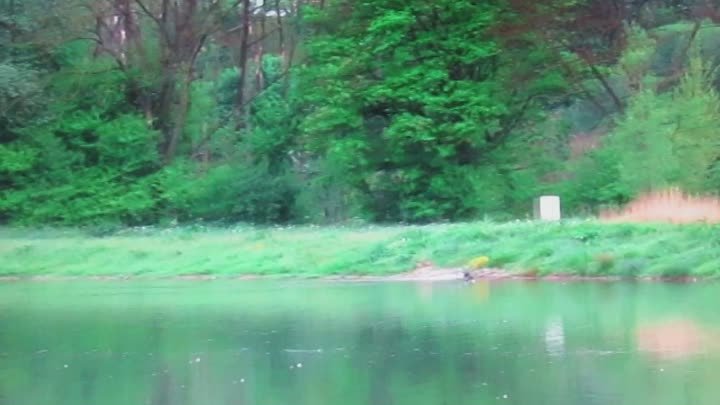 MVI_0362 Нежность и яркость на дивном озере.Музыка С.С.Коновалова &q ...