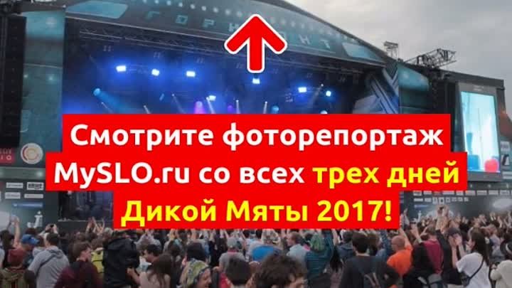 Дикая Мята 2017