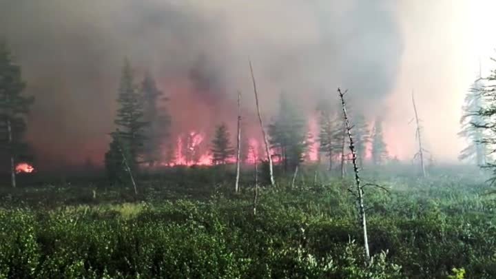 Якутия горит! Лесные пожары 2022. Айхал, Мирный, Новости региона