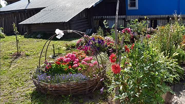 Село Красное Лебяжского района Карнавал цветов.