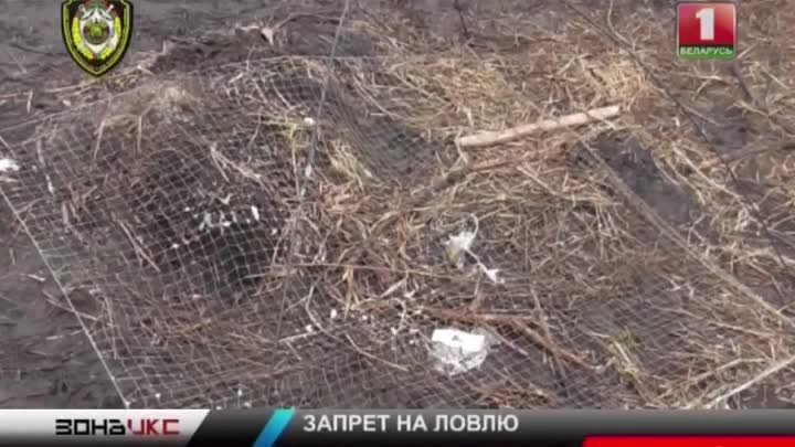 Щука на вес золота. 4 браконьера задержаны на озере Червоном