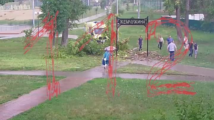 В Серпухове дерево упало на девочку