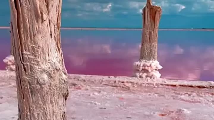 Розовое озеро Сасык-Сиваш.