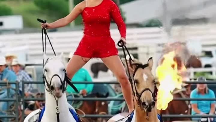 Наездница показывает крутой трюк на лошадях