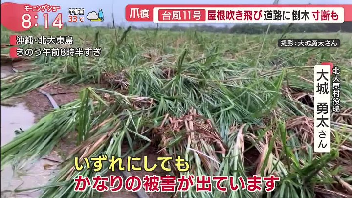 羽鳥慎一モーニングショー 動画 猛烈台風11号が沖縄へ 航空券変更に大行列 | 2022年8月1日