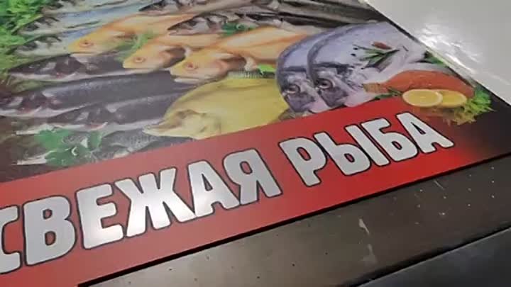 Штендер Свежая рыба. Уфпечать.