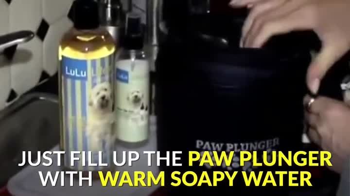 Paw Plunger - Dog Paw Cleaner