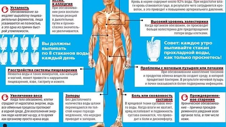 Что пить при обезвоживании организма. Дегидратация организма. Симптомы алкогольного обезвоживания. Хроническое обезвоживание организма.