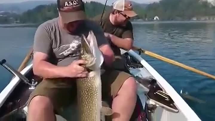 интересный случай на рыбалке