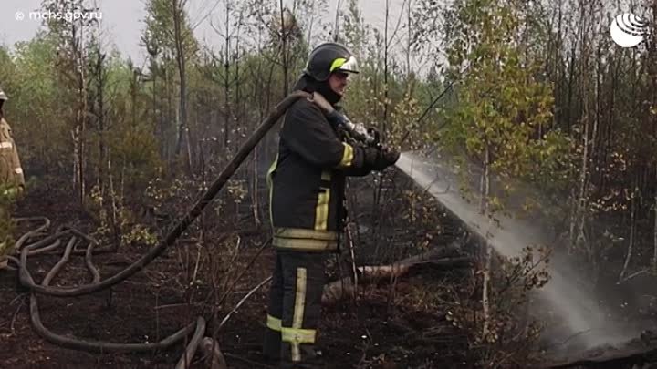 Борьба с лесными пожарами под Рязанью