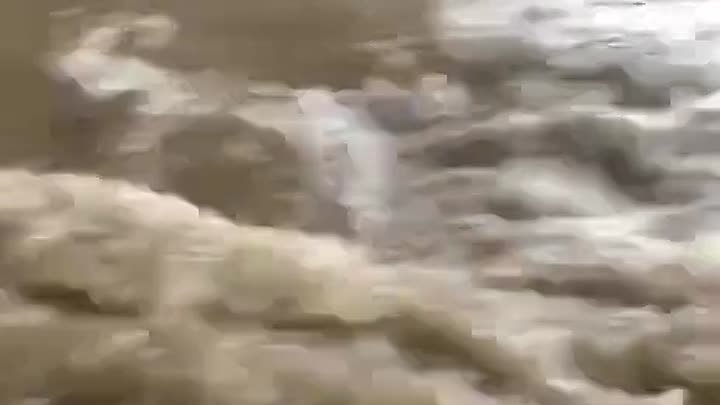Потоп у Зеленопарка