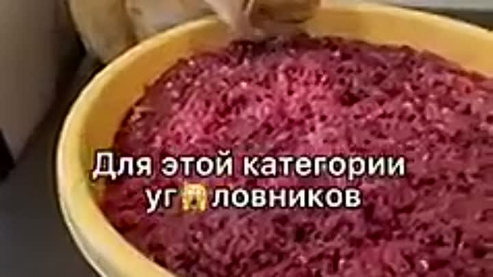 Коты уголовники